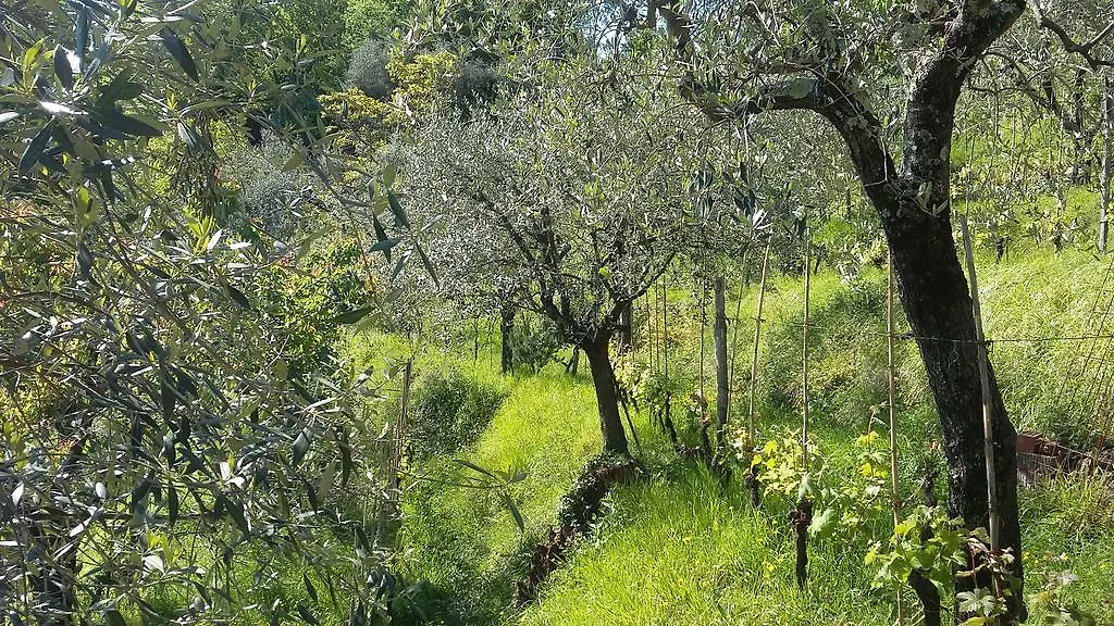 Due Archi Villa Arcola